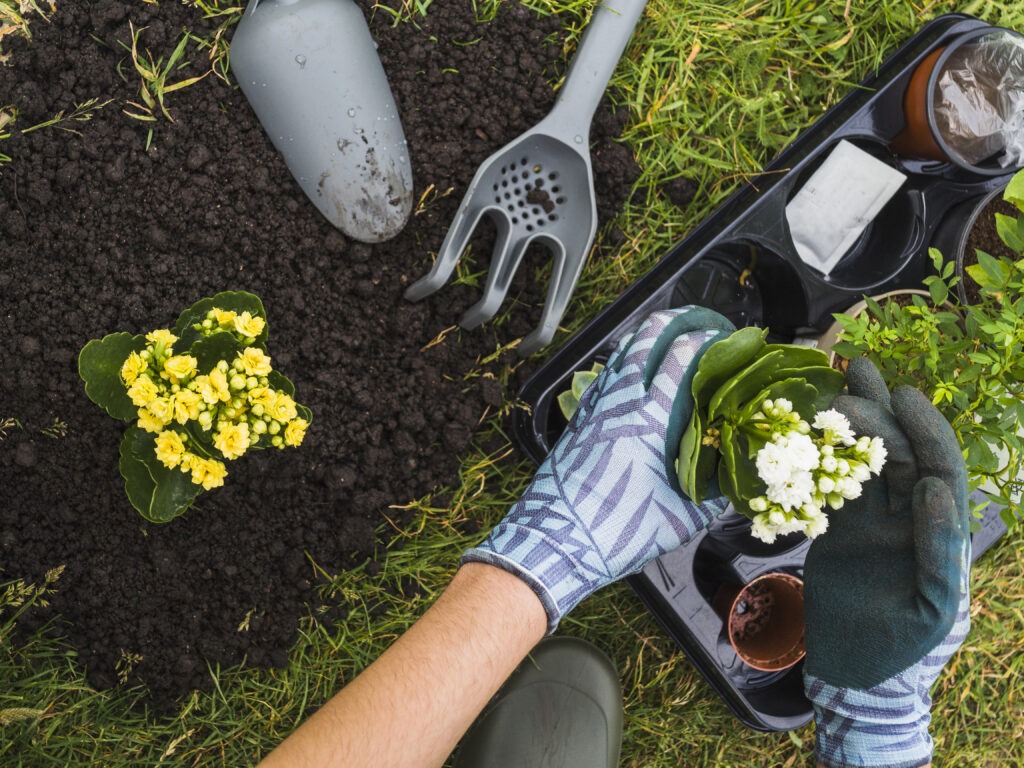 home gardener in Australia